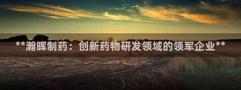 老哥俱乐部是干什么的：**瀚晖制药：创新药物研发领域的领军企业**