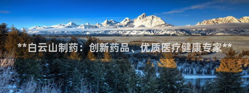 九游老哥俱乐部官网登录不了：**白云山制药：创新药品、优质医疗健康专家**