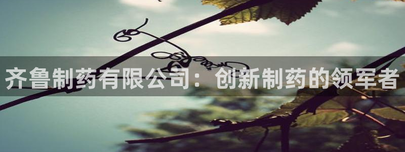 ag九游老哥俱乐部：齐鲁制药有限公司：创新制药的领军者