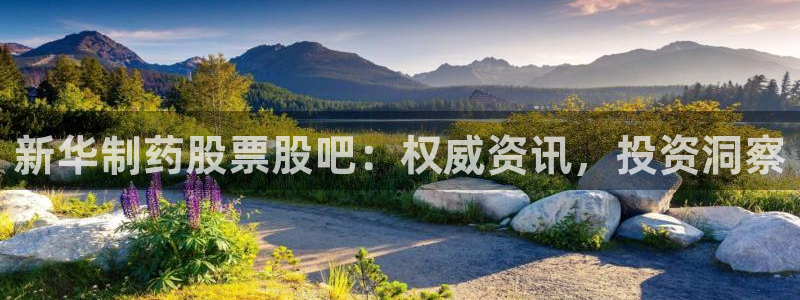 九游老哥俱乐部官网登录网址：新华制药股票股吧：权威资讯，投资洞察
