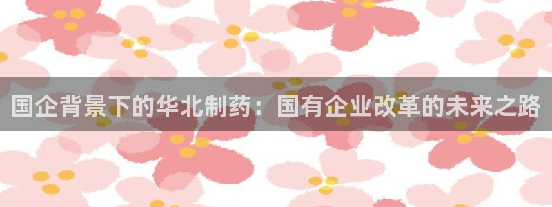 9游会老哥俱乐部：国企背景下的华北制药：国有企业改革的未来之路