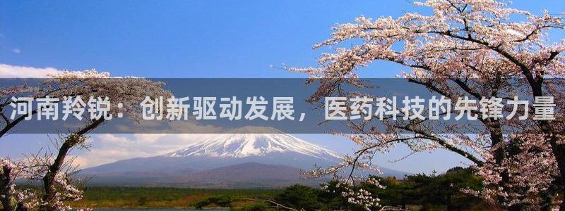 老哥俱乐部是干什么的：河南羚锐：创新驱动发展，医药科技的先锋力量