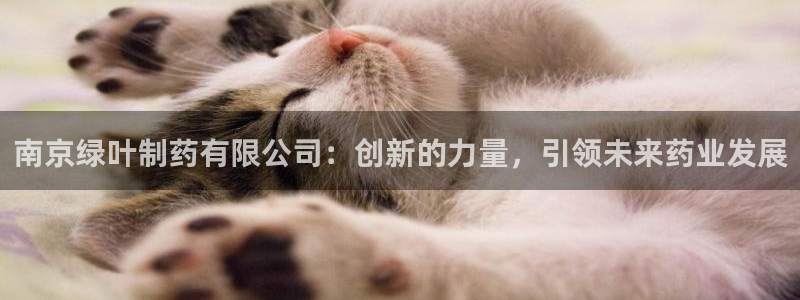 九游会老哥必备的交流社区：南京绿叶制药有限公司：创新的力量，引领未来药业发展
