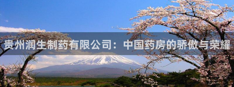 9游会老哥：贵州润生制药有限公司：中国药房的骄傲与荣耀