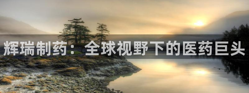 九游老哥俱乐部官网登录网址：辉瑞制药：全球视野下的医药巨头