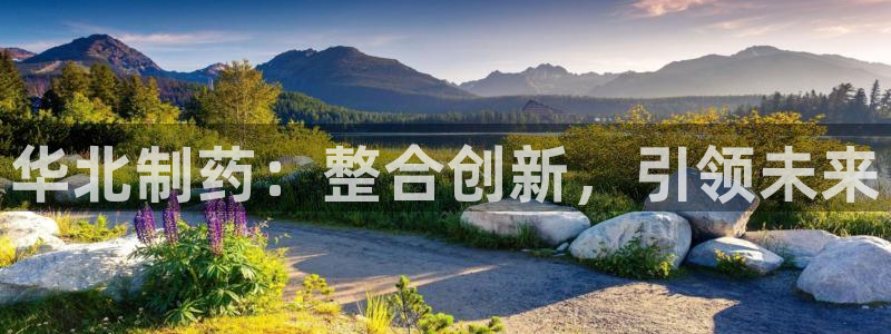 九游会老哥必备的交流社区：华北制药：整合创新，引领未来