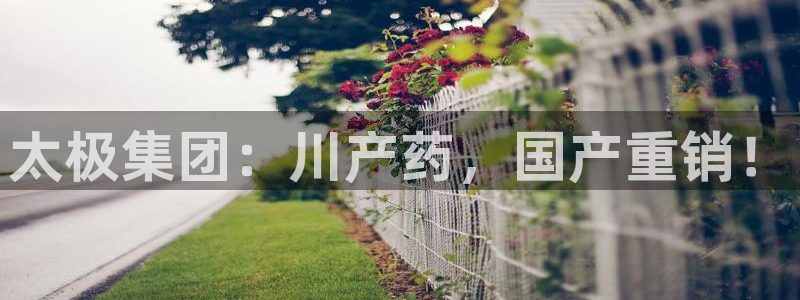 九游老哥俱乐部登录：太极集团：川产药，国产重销！