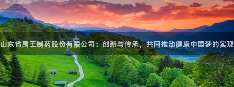 九游老哥俱乐部官网登录不了：山东省禹王制药股份有限公司：创新与传承，共同推动健康中国梦的实现