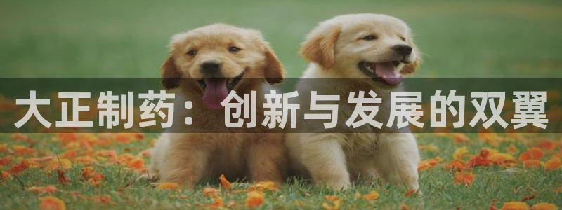 九游老哥俱乐部官网登录入口：大正制药：创新与发展的双翼