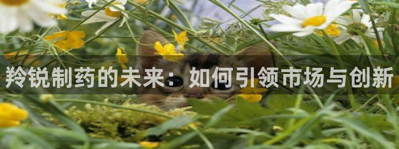 ag九游会老哥俱乐部：羚锐制药的未来：如何引领市场与创新