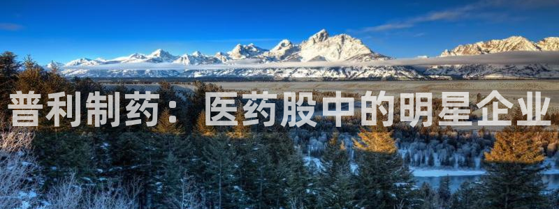 老哥吧九游会下架吗：普利制药：医药股中的明星企业