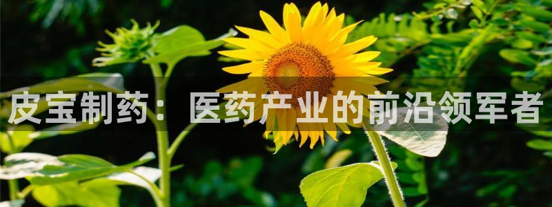 九游会老哥俱乐部官网首页：皮宝制药：医药产业的前沿领军者