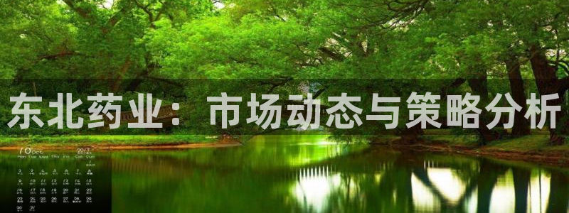 老哥吧九游会下架吗：东北药业：市场动态与策略分析