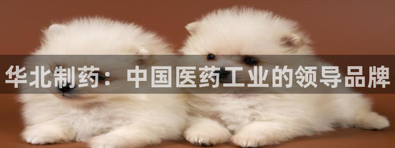 九游会老哥必备的交流社区九：华北制药：中国医药工业的领导品牌