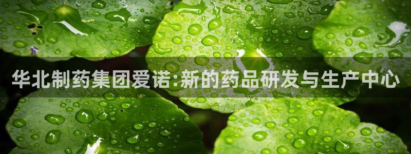 九游老哥俱乐部官网登录网址：华北制药集团爱诺:新的药品研发与生产中心