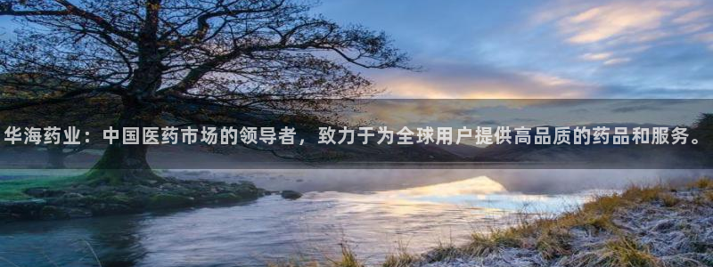 九游会老哥：华海药业：中国医药市场的领导者，致力于为全球用户提供高品质的药品和服务。