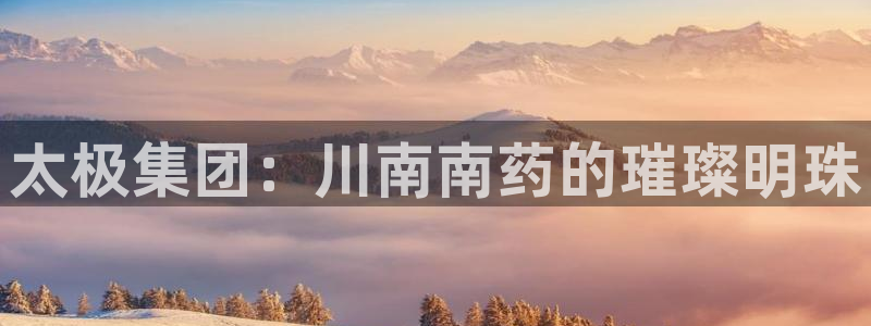 ag九游会老哥：太极集团：川南南药的璀璨明珠
