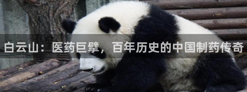 九游会老哥俱乐部必备的交流社区：白云山：医药巨擘，百年历史的中国制药传奇