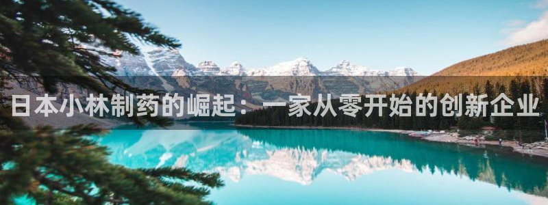 九游老哥俱乐部官网登录不了：日本小林制药的崛起：一家从零开始的创新企业