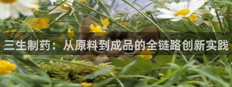 九游会老哥俱乐部官网首页：三生制药：从原料到成品的全链路创新实践