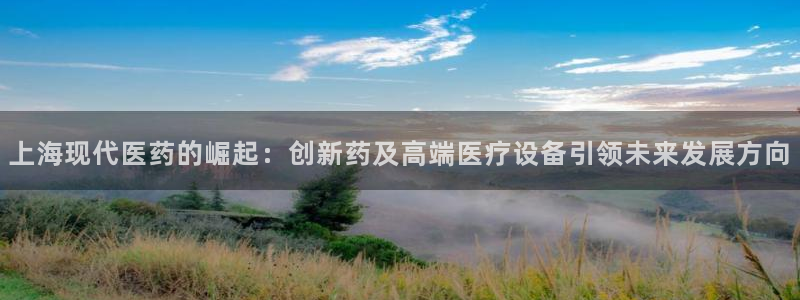 ag九游会老哥俱乐部：上海现代医药的崛起：创新药及高端医疗设备引领未来发展方向