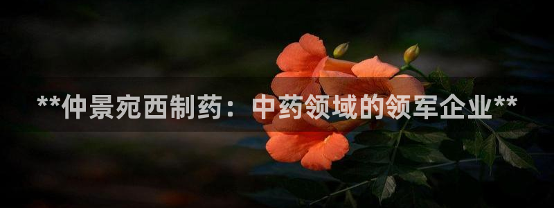 9游会老哥俱乐部：**仲景宛西制药：中药领域的领军企业**