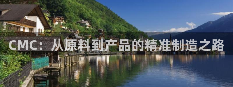 老哥俱乐部是干什么的：CMC：从原料到产品的精准制造之路