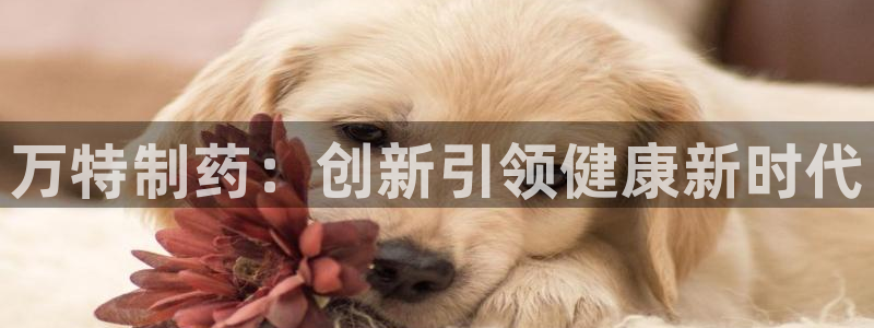 九游老哥俱乐部官网登录不了：万特制药：创新引领健康新时代