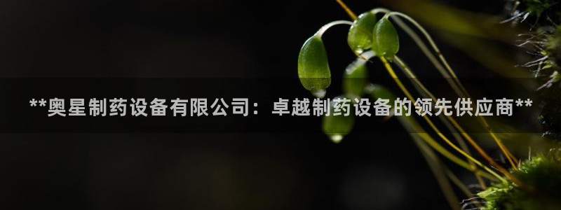 九游会老哥俱乐部必备的交流社区：**奥星制药设备有限公司：卓越制药设备的领先供应商**