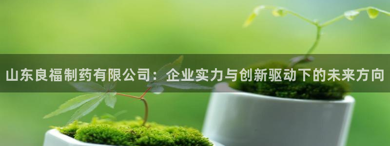 ag九游会老哥俱乐部：山东良福制药有限公司：企业实力与创新驱动下的未来方向