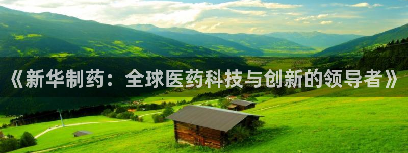 九游会老哥：《新华制药：全球医药科技与创新的领导者》