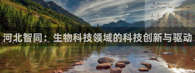 ag九游老哥俱乐部：河北智同：生物科技领域的科技创新与驱动