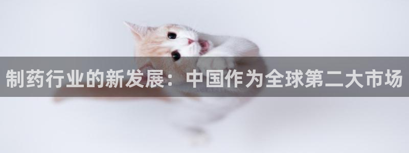 九游会老哥俱乐部官方网站：制药行业的新发展：中国作为全球第二大市场