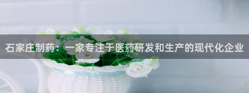 九游老哥俱乐部登录：石家庄制药：一家专注于医药研发和生产的现代化企业