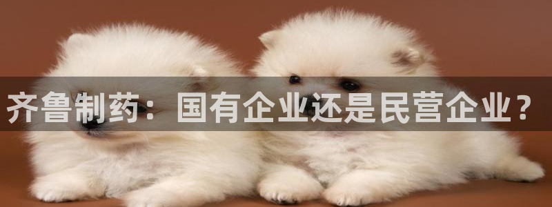 九游老哥俱乐部官网登录：齐鲁制药：国有企业还是民营企业？