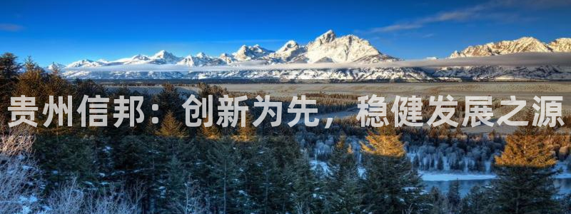 九游会老哥俱乐部必备的交流社区：贵州信邦：创新为先，稳健发展之源