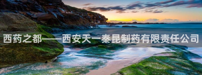 9游会老哥：西药之都——西安天一秦昆制药有限责任公司