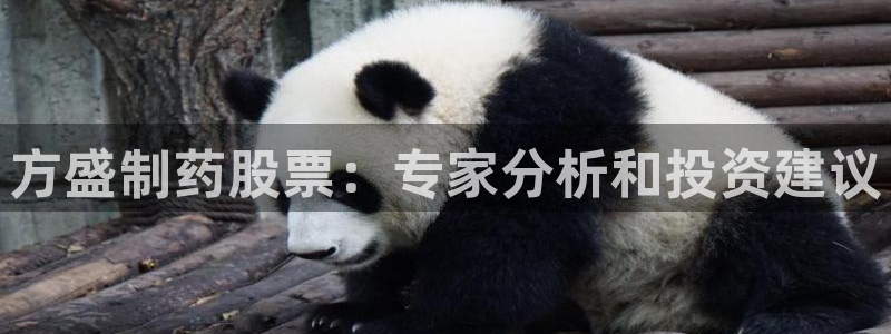 九游会老哥俱乐部：方盛制药股票：专家分析和投资建议