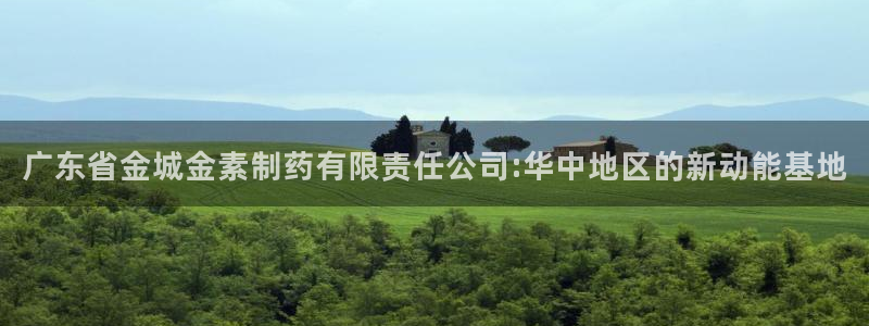 九游会老哥必备的交流社区九：广东省金城金素制药有限责任公司:华中地区的新动能基地