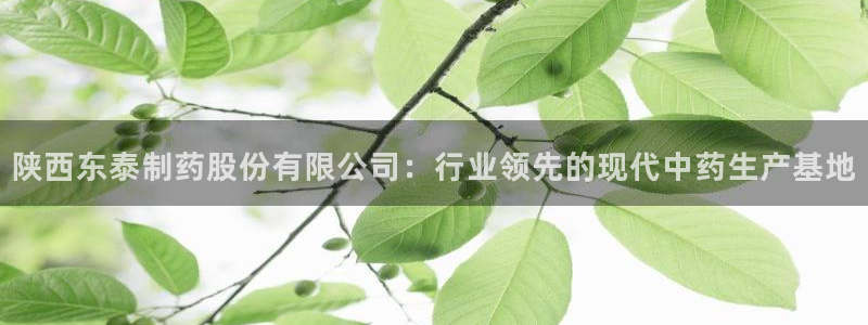 九游老哥俱乐部官网登录入口：陕西东泰制药股份有限公司：行业领先的现代中药生产基地