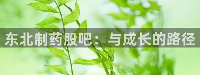 九游老哥俱乐部官网登录入口：东北制药股吧：与成长的路径
